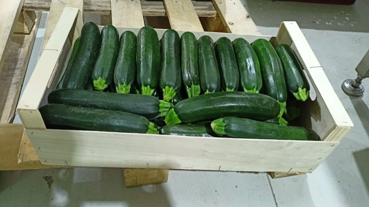 Courgettes